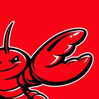 OpenClaw account avatar